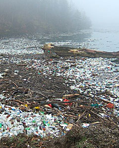 Plastik im Meer / Umweltverschmutzung