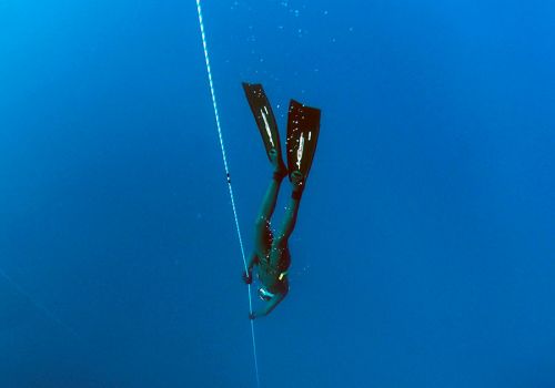 Wissenswertes zum Thema Apnoetauchen