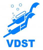 VDST Logo