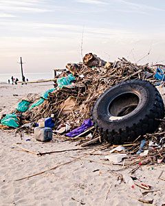 Beach Clean Up