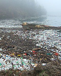 Plastik im Meer / Umweltverschmutzung